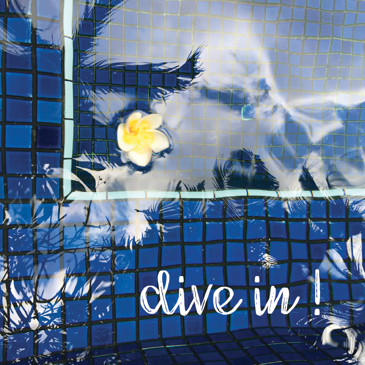 Guest Posts… and you are invited!